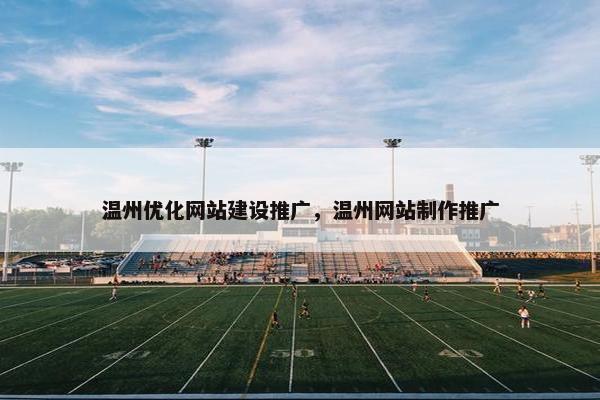 温州优化网站建设推广，温州网站制作推广