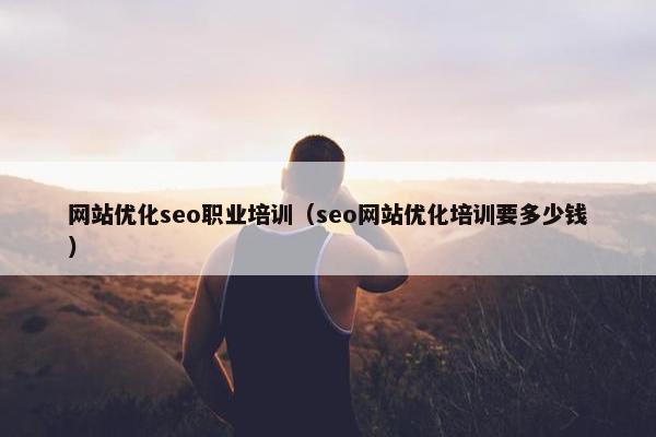 网站优化seo职业培训（seo网站优化培训要多少钱）