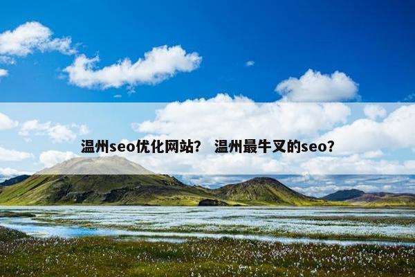 温州seo优化网站？ 温州最牛叉的seo？