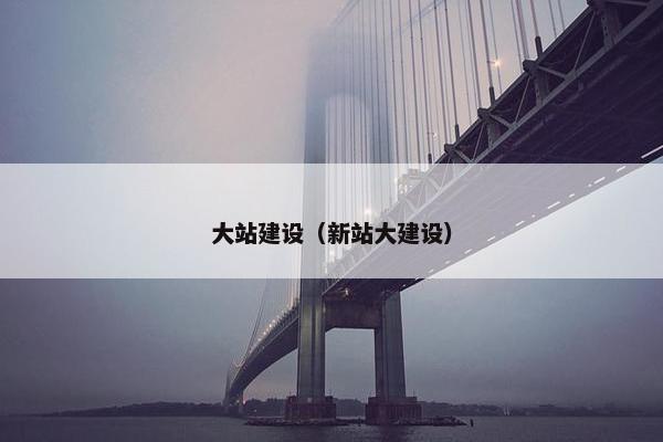 大站建设（新站大建设）