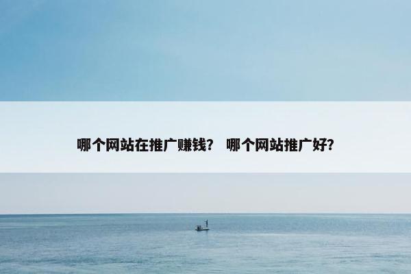 哪个网站在推广赚钱？ 哪个网站推广好？