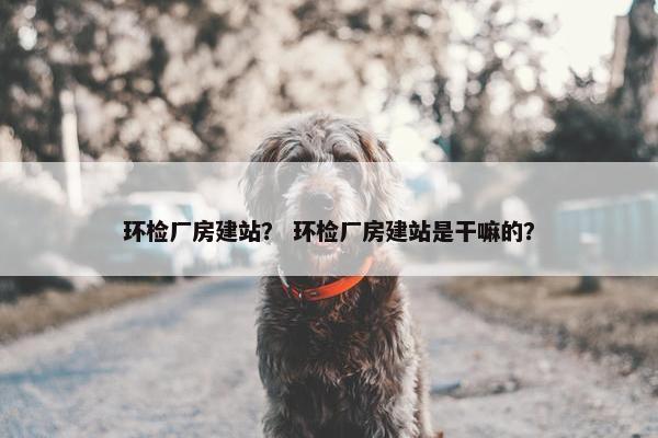 环检厂房建站？ 环检厂房建站是干嘛的？