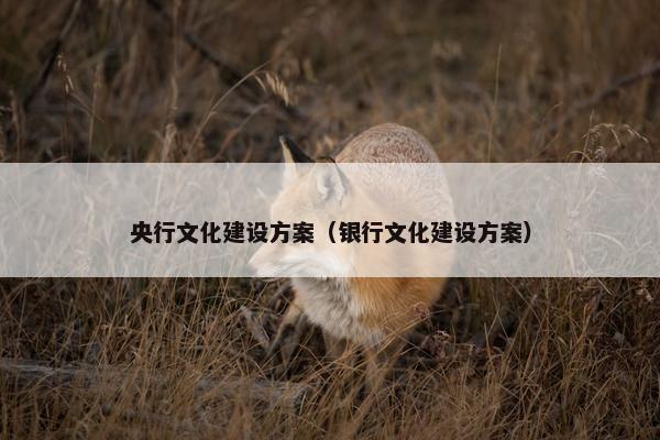 央行文化建设方案（银行文化建设方案）