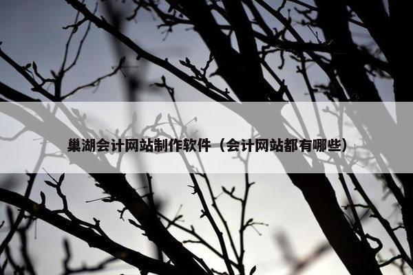 巢湖会计网站制作软件（会计网站都有哪些）