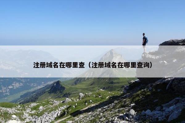 注册域名在哪里查（注册域名在哪里查询）