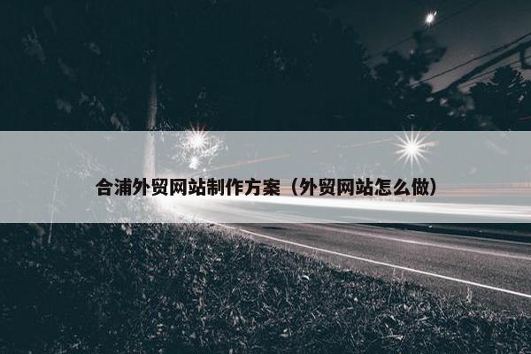 合浦外贸网站制作方案（外贸网站怎么做）