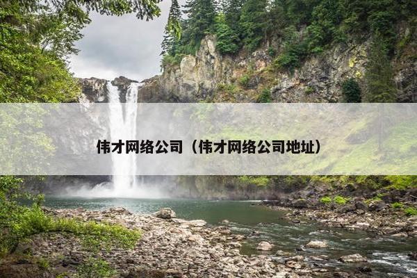 伟才网络公司（伟才网络公司地址）
