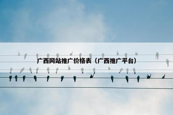 广西网站推广价格表（广西推广平台）