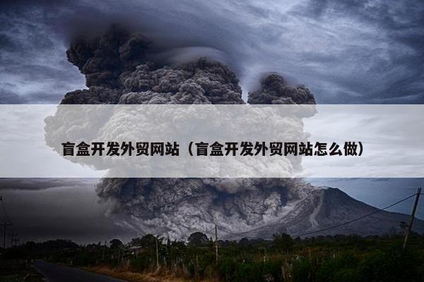 盲盒开发外贸网站（盲盒开发外贸网站怎么做）