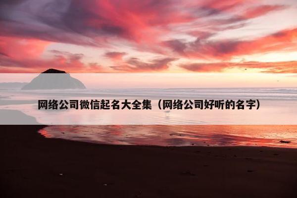 网络公司微信起名大全集（网络公司好听的名字）