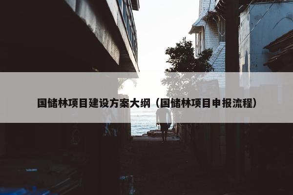 国储林项目建设方案大纲（国储林项目申报流程）