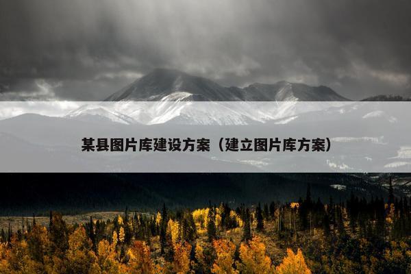 某县图片库建设方案（建立图片库方案）