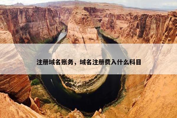 注册域名账务，域名注册费入什么科目