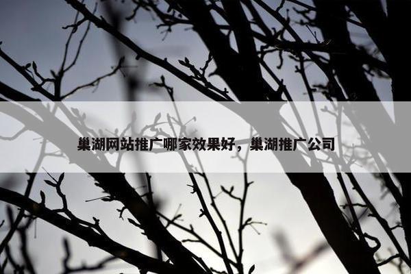 巢湖网站推广哪家效果好，巢湖推广公司