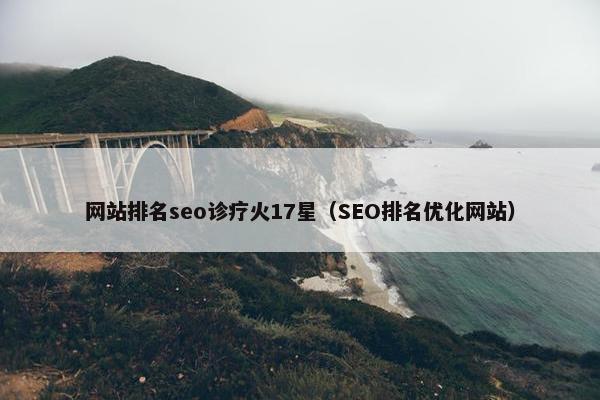 网站排名seo诊疗火17星（SEO排名优化网站）