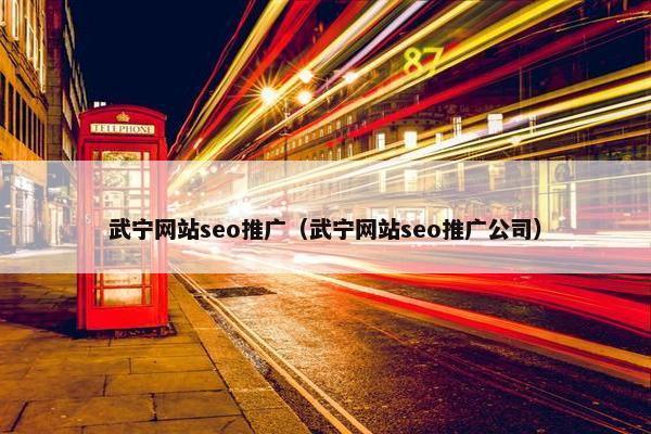 武宁网站seo推广（武宁网站seo推广公司）
