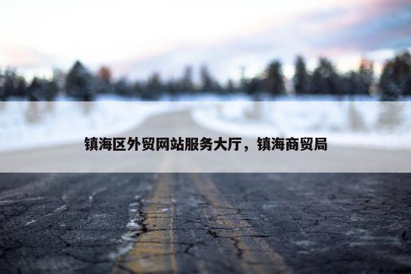 镇海区外贸网站服务大厅，镇海商贸局