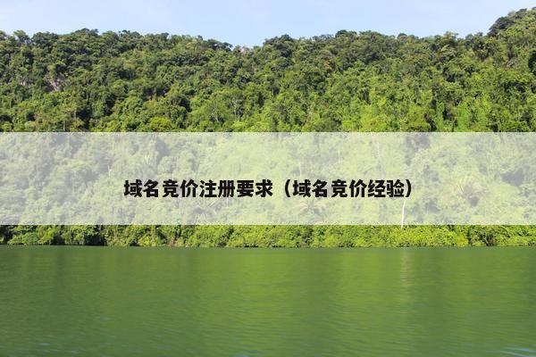 域名竞价注册要求（域名竞价经验）