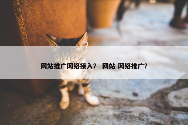 网站推广网络接入？ 网站 网络推广？