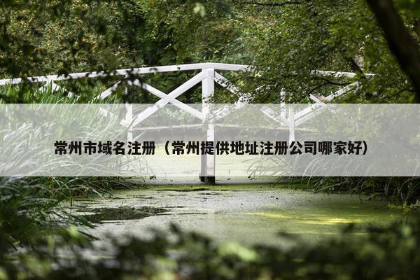 常州市域名注册（常州提供地址注册公司哪家好）