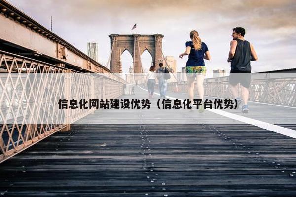 信息化网站建设优势（信息化平台优势）