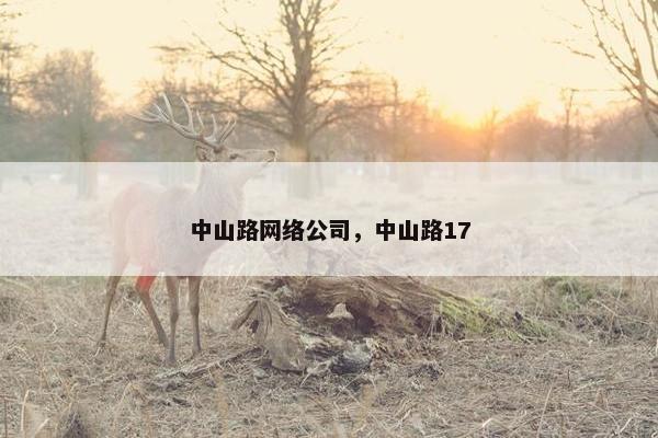 中山路网络公司，中山路17