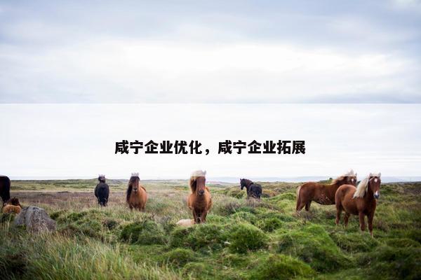 咸宁企业优化，咸宁企业拓展