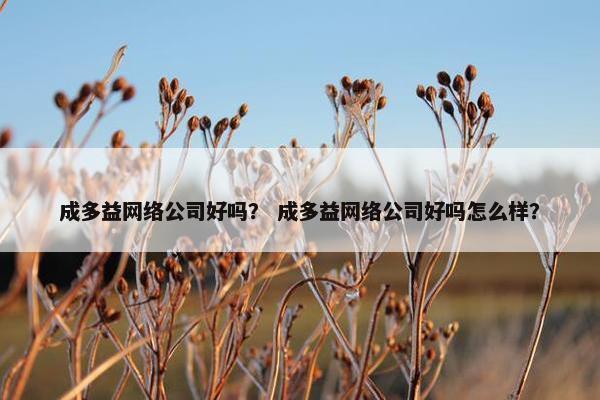 成多益网络公司好吗？ 成多益网络公司好吗怎么样？
