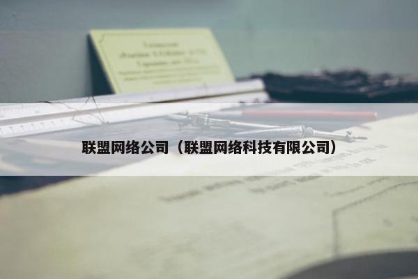 联盟网络公司（联盟网络科技有限公司）