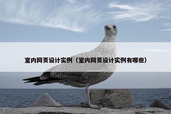 室内网页设计实例（室内网页设计实例有哪些）