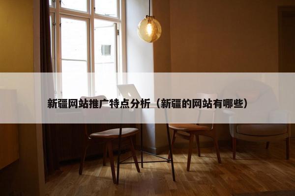 新疆网站推广特点分析（新疆的网站有哪些）