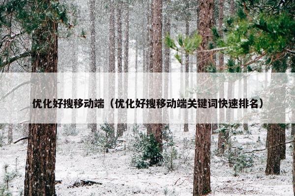 优化好搜移动端（优化好搜移动端关键词快速排名）