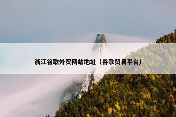 浙江谷歌外贸网站地址（谷歌贸易平台）