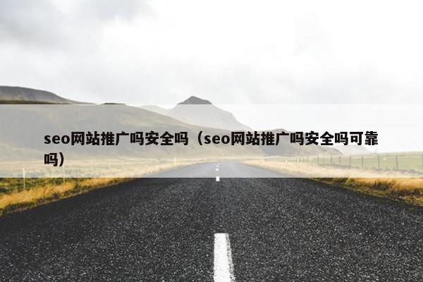 seo网站推广吗安全吗（seo网站推广吗安全吗可靠吗）
