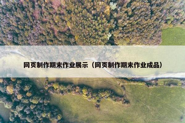 网页制作期末作业展示（网页制作期末作业成品）