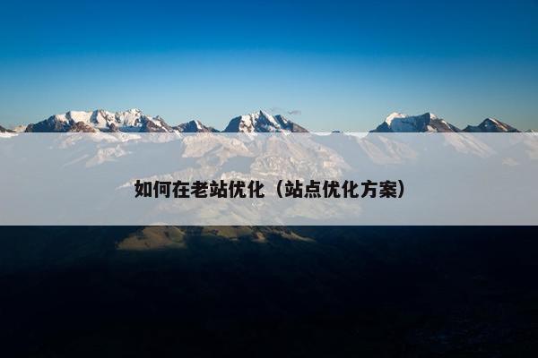 如何在老站优化（站点优化方案）
