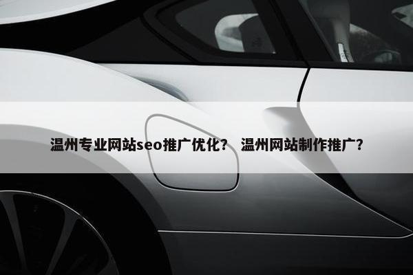 温州专业网站seo推广优化？ 温州网站制作推广？