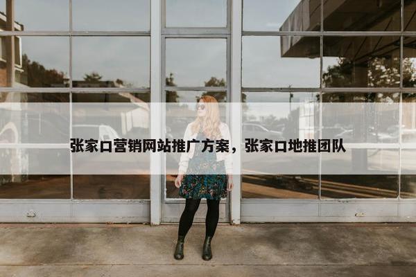 张家口营销网站推广方案，张家口地推团队
