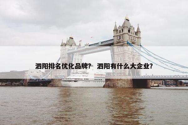 泗阳排名优化品牌？ 泗阳有什么大企业？
