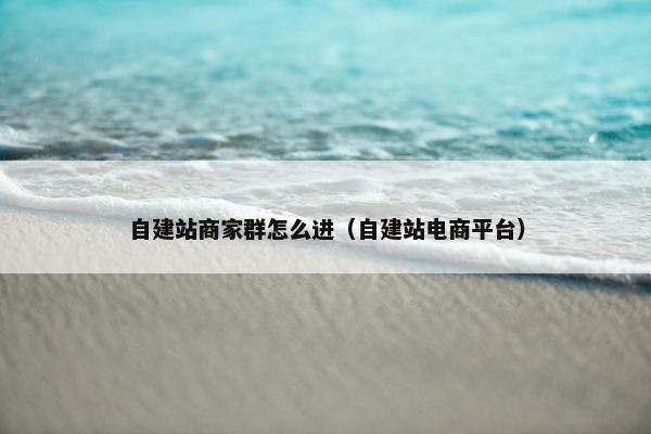 自建站商家群怎么进（自建站电商平台）