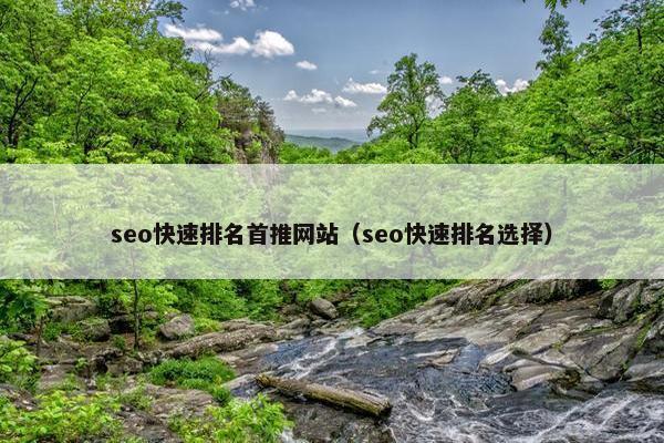 seo快速排名首推网站（seo快速排名选择）