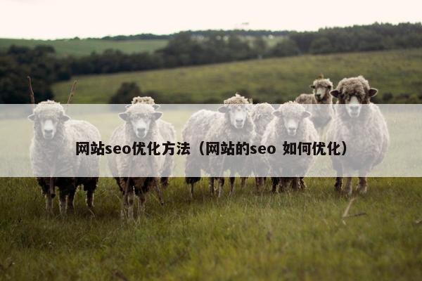 网站seo优化方法（网站的seo 如何优化）