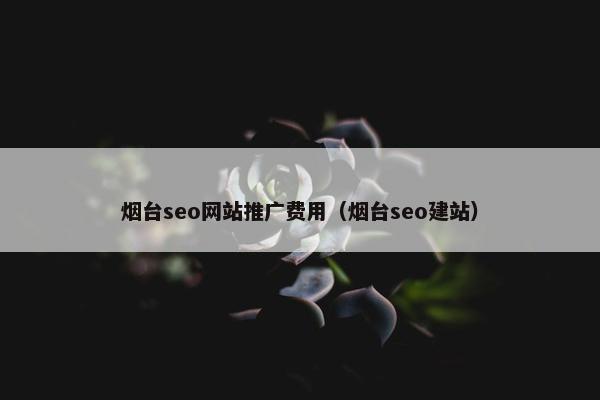 烟台seo网站推广费用（烟台seo建站）