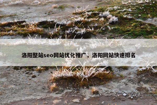 洛阳整站seo网站优化推广，洛阳网站快速排名