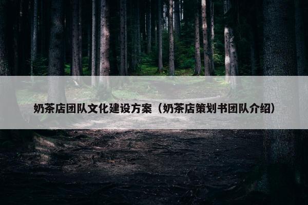 奶茶店团队文化建设方案（奶茶店策划书团队介绍）