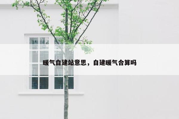暖气自建站意思，自建暖气合算吗