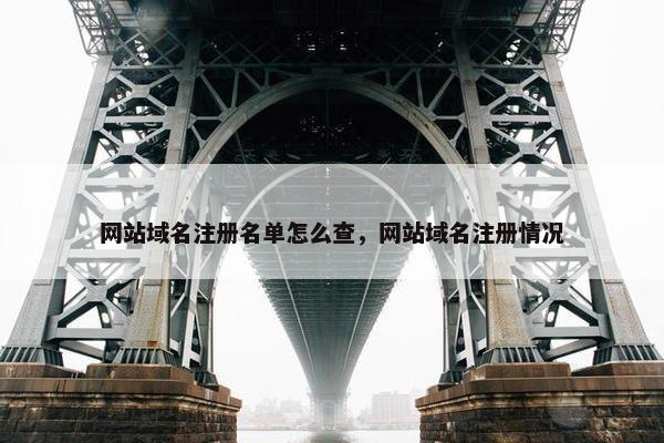 网站域名注册名单怎么查，网站域名注册情况