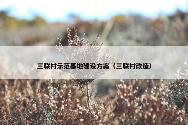 三联村示范基地建设方案（三联村改造）