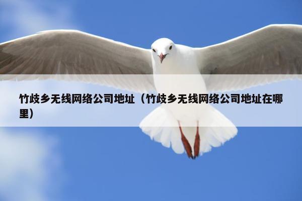 竹歧乡无线网络公司地址（竹歧乡无线网络公司地址在哪里）