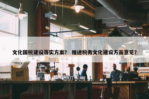 文化国税建设落实方案？ 推进税务文化建设方面意见？